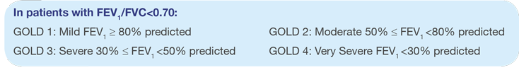 GOLD Report Guidelines for patient levels based on condition severity.