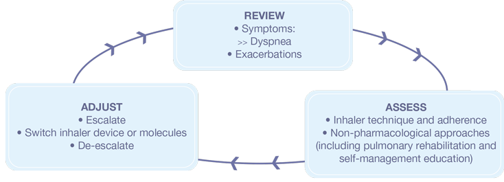 GOLD Report Guidelines for Management Cycle