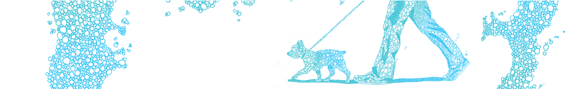 FormularyHeader